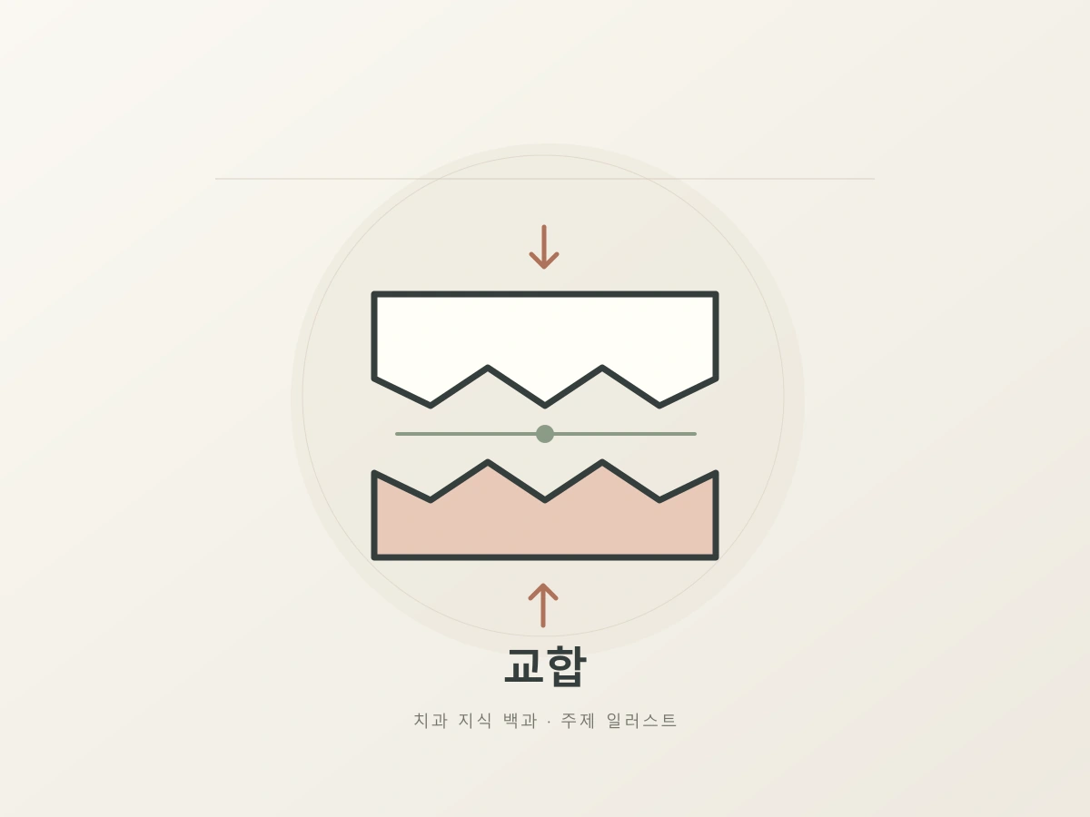 교합의 맞물림을 나타내는 위아래 조각과 만나는 선의 추상 일러스트